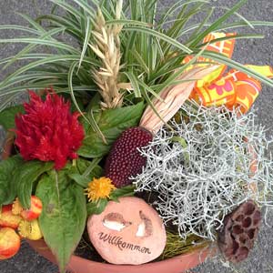 Das Blümchen - Blumen und Mehr: Blumen, Topfpflanzen, Geschenkartikel, Duftkerzen, Raumdüfte, dekorierte Blumenstöcke: herbstlich dekorierte Schale